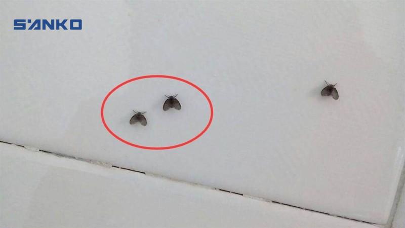 Nguyên Nhân Bồ Hóng Xuất Hiện Trong Bếp