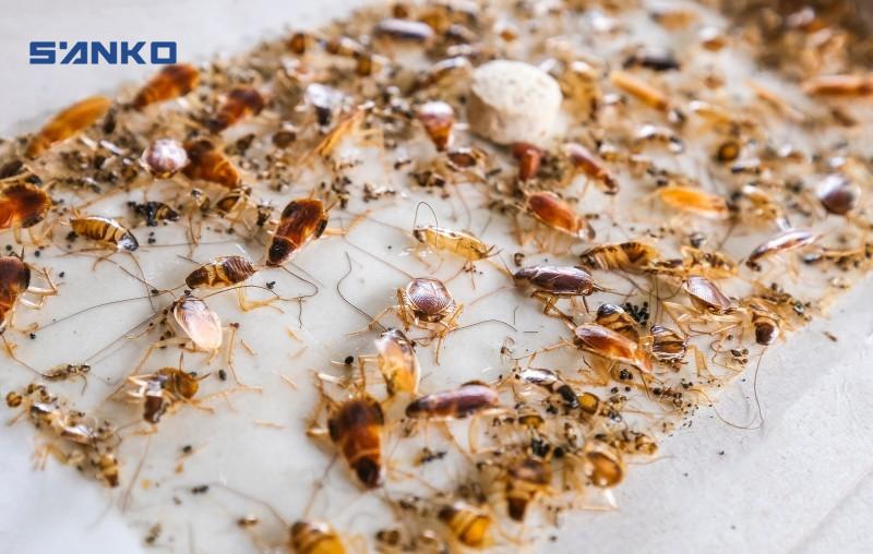 Lưu Nháp Tự động